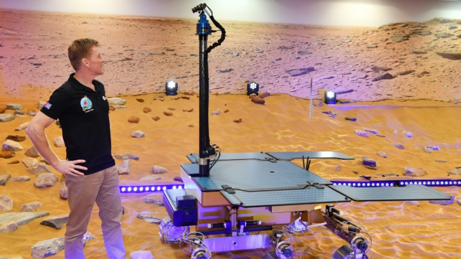 Misi&oacute;n ExoMars queda suspendida por el fin de cooperaci&oacute;n con Rusia (Agencia Espacial Europea)