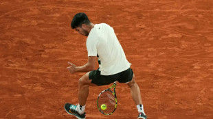 Reigning champion Alcaraz into French Open final as Musetti retires