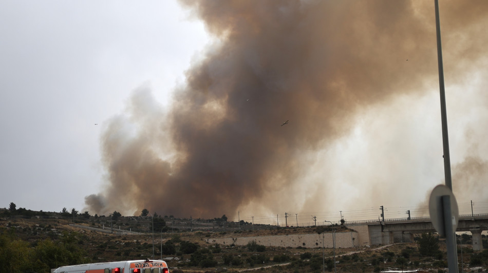 Hamas, 'palestinesi bruciate tutto,boschi, foreste e case'