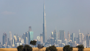 Governo Dubai, 'non vera la notizia di esplosioni nel centro'