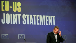 EU gets 15% US tariff for cars, fails to secure wine reprieve