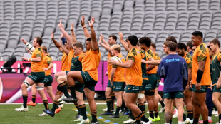 Wallabies vow to put bodies on line in crunch second Lions Test 