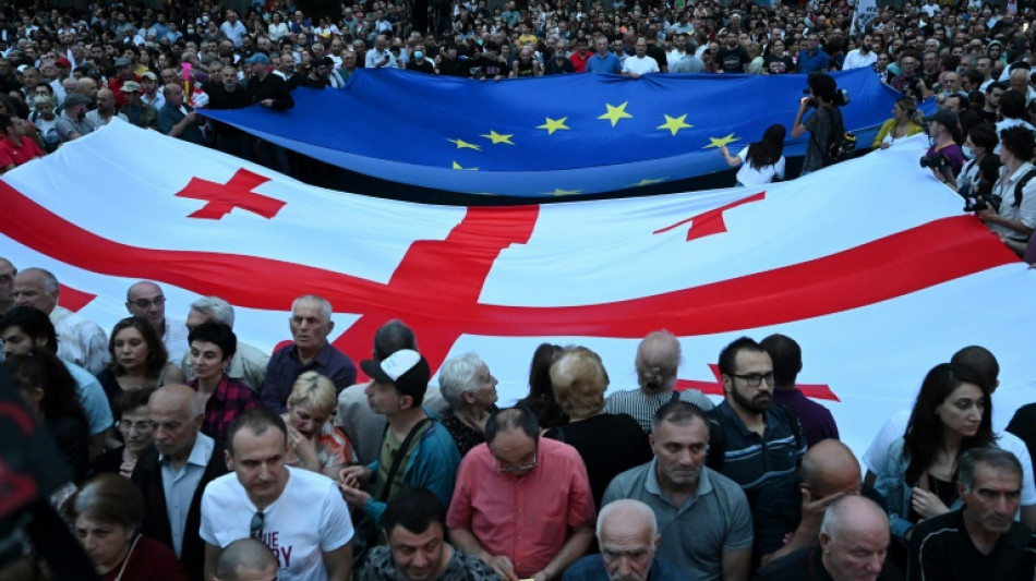 Miles de manifestantes en Georgia reclaman la adhesi&oacute;n a la UE
