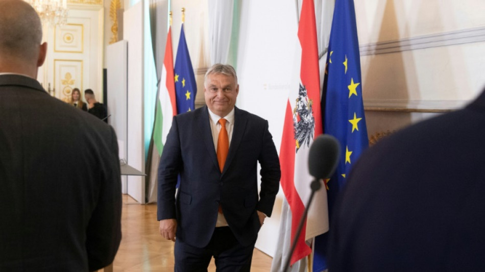 Orban alega "punto de vista cultural" en pol&eacute;mico discurso sobre mezcla de razas