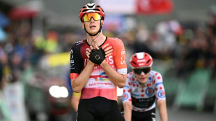 Tour de France: Arensman s'impose encore, Pogacar et Vingegaard se neutralisent