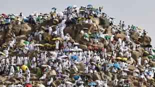 Pilgrims pray on Mount Arafat as hajj reaches peak