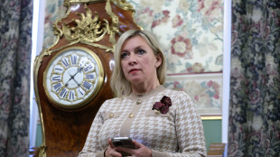 Mosca, 'da Nato passo irresponsabile, mina sforzi di pace'