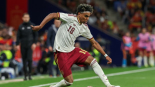 Espanha e Uruguai, dois campe&otilde;es frente a frente no Grupo H da Copa do Mundo