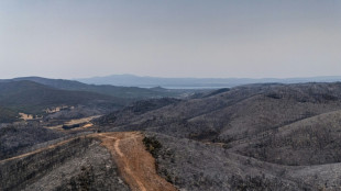 Waldbr&auml;nde w&uuml;ten weiter in Griechenland und Frankreich