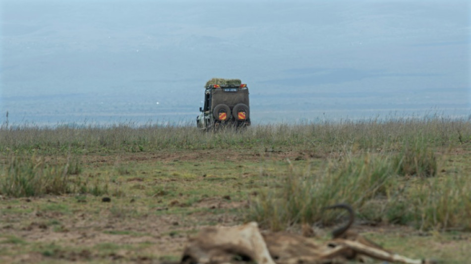 Au Kenya, la s&eacute;cheresse d&eacute;cime les animaux dans les parcs nationaux 