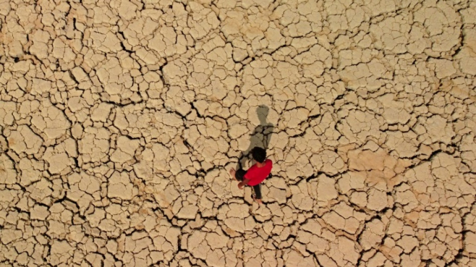 Miles de desplazados en el sur de Irak por la sequ&iacute;a 