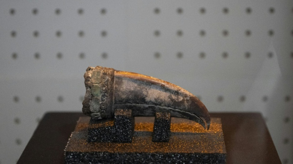 Remains of 5,000-year-old noblewoman found in Peru dig