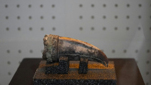 Remains of 5,000-year-old noblewoman found in Peru dig