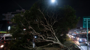 Cinco muertos por fuertes vientos que desatan el caos en Rio y zonas de Sao Paulo