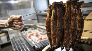 Le Japon s'oppose &agrave; un projet de l'UE visant &agrave; restreindre le commerce des anguilles