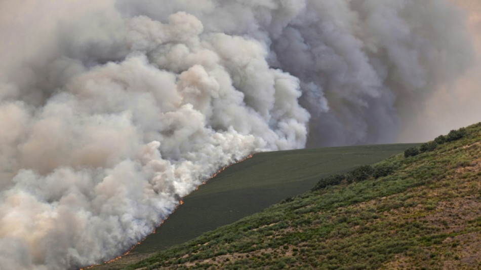 Lutte sans répit contre les incendies en Espagne et au Portugal, déjà six morts