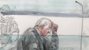 Proc&egrave;s des viols de Mazan: le proc&egrave;s se poursuit sans l'accus&eacute; principal, toujours malade