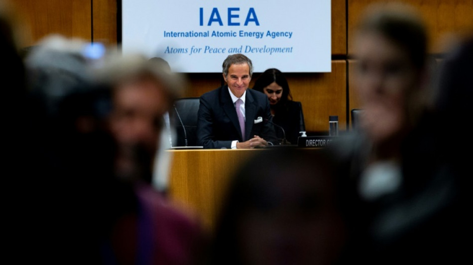 La OIEA ve se&ntilde;ales positivas respecto a la zona de seguridad alrededor de la central nuclear en Ucrania
