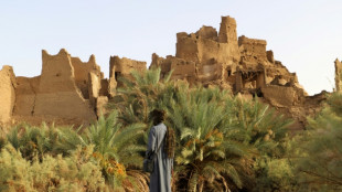 Dans le Sahara nig&eacute;rien, le myst&egrave;re des cit&eacute;s oubli&eacute;es