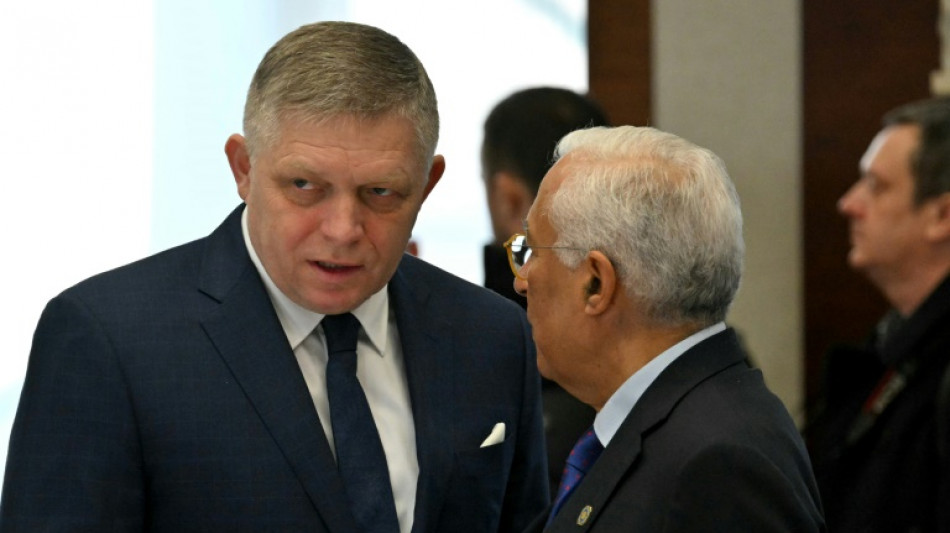 Eslovaquia autoriza el sacrificio de 350 osos pese a una directiva de la UE