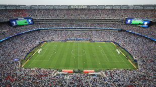 Ciudades estadounidenses sedes del Mundial de 2026 esperan por los aficionados extranjeros