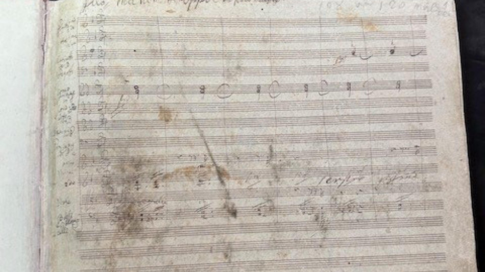 Cos&igrave; Beethoven sentiva la musica a pelle anche da sordo