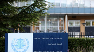 Assassinat Hariri: deux membres du Hezbollah condamn&eacute;s &agrave; la prison &agrave; perp&eacute;tuit&eacute;