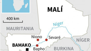 Seis soldados muertos y 20 heridos en tres ataques "terroristas" en Mal&iacute;