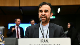 Ir&aacute;n afirma que enviar&aacute; pronto su propuesta a EEUU sobre programa nuclear