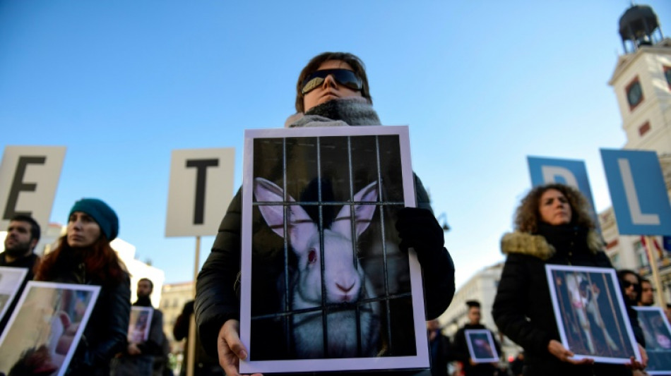 Gobierno espa&ntilde;ol adopta un proyecto ley de protecci&oacute;n animal