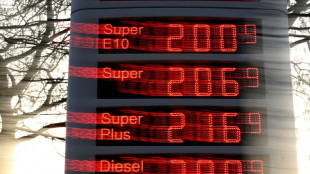 Regierungskreise: Deutschland gibt Teil der &Ouml;lreserven frei 