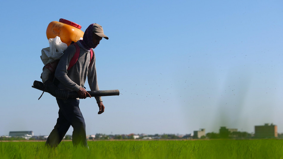 Piano Ue per i fertilizzanti, 'aiuti ad agricoltori e flessibilit&agrave; nell'Ets'