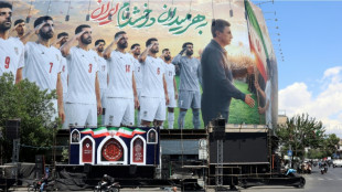 Ir&atilde; chega &agrave; Turquia para se preparar para Copa do Mundo e tratar dos vistos