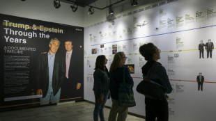 ONG exp&otilde;e ao p&uacute;blico 3,5 milh&otilde;es de p&aacute;ginas do caso Epstein nos EUA