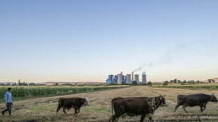 La pollution par habitant li&eacute;e au charbon augmente dans les pays du G20