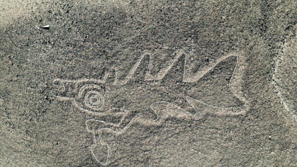 Descubren con ayuda de la IA m&aacute;s de 300 nuevos geoglifos en el desierto peruano de Nasca