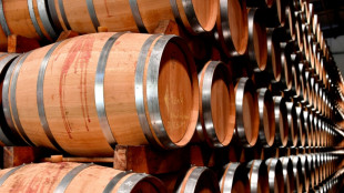 Francia convertir&aacute; el excedente de vino en alcohol industrial