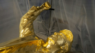 "Don Colossus": une statue dor&eacute;e de Trump paralys&eacute;e par un diff&eacute;rend financier