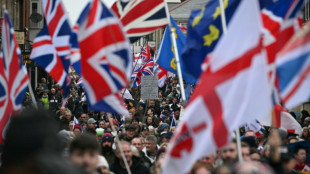 UK schoolgirl game character Amelia co-opted by far-right