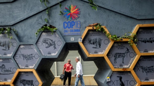 "Crisis existencial": jefe de la ONU alerta sobre la destrucci&oacute;n de la naturaleza en COP16