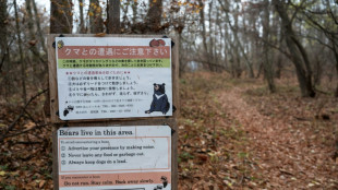 Japon: deux morts dans des attaques d'ours présumées