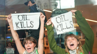 Extinction Rebellion y Greta Thunberg bloquean una avenida y un banco en Noruega