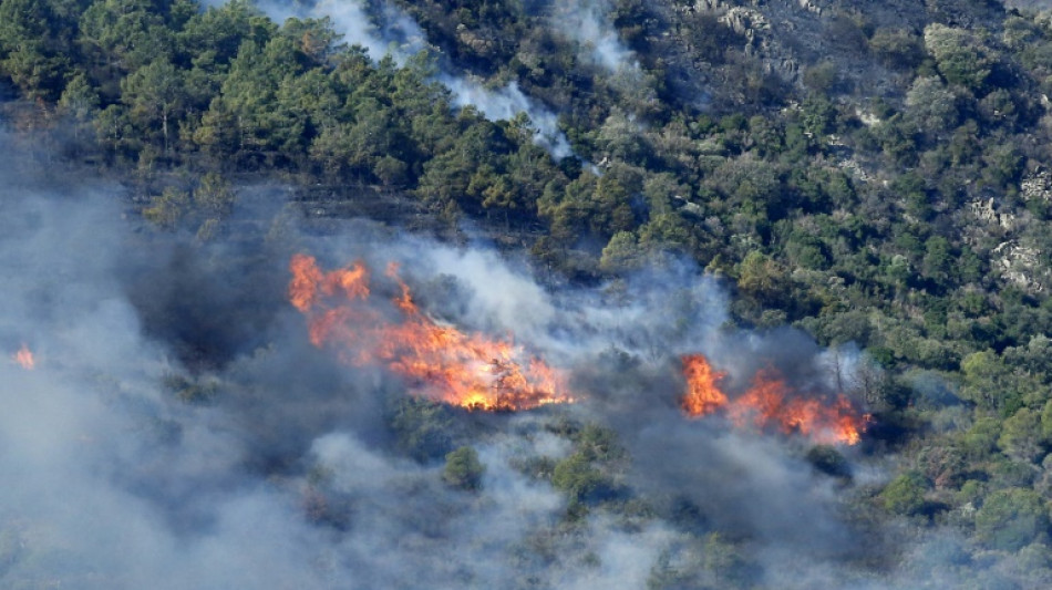 Espagne: l'incendie &agrave; la fronti&egrave;re avec la France s'&eacute;tend, plus de 130 personnes &eacute;vacu&eacute;es