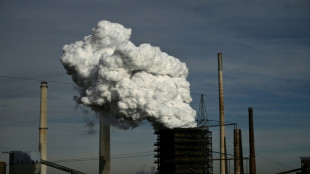 Stahlkonzern Salzgitter will Duisburger Stahlwerk HKM &uuml;bernehmen