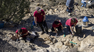 La più antica impronta di un rettile riscrive l'evoluzione