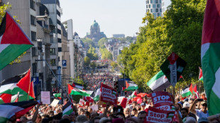 Tens of thousands march for Palestinians in Belgian capital