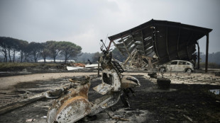 Beh&ouml;rden: Waldbrand in der franz&ouml;sischen Gironde breitet sich weiter "rasch" aus