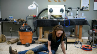 Restaurer des fossiles, un "puzzle" en 3D de plusieurs millions d'ann&eacute;es