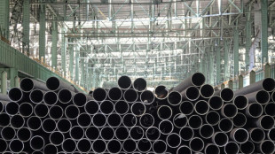 Los subsidios de China al acero "distorsionan" el mercado global, afirma la OCDE