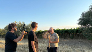 In Puglia salvati 100 cereali e 48 legumi in Banca Germoplasma